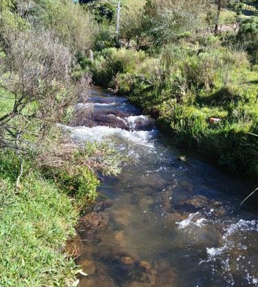 Eco Kaza