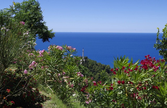 Ecoturismo en el pueblo medieval de Calabria, tradición y cultura, mar y naturaleza ...