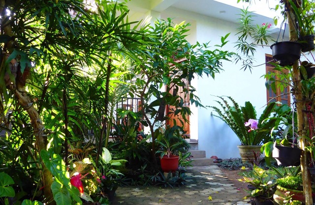 "Eddy's Cottage" Ubicación perfecta para relajarse con