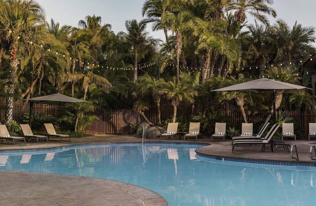 Elegant King Room with Bay Views at Catamaran Resort