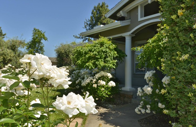Elegante Retiro Yountville ... Sus vacaciones en la región vinícola comienzan en su puerta