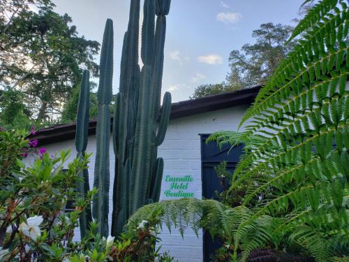 Ensenillo Hotel Boutique