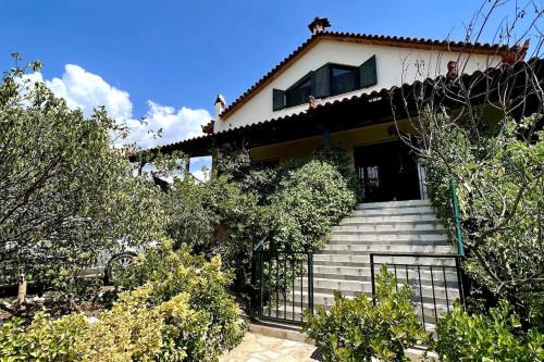 Estate Tsiati
