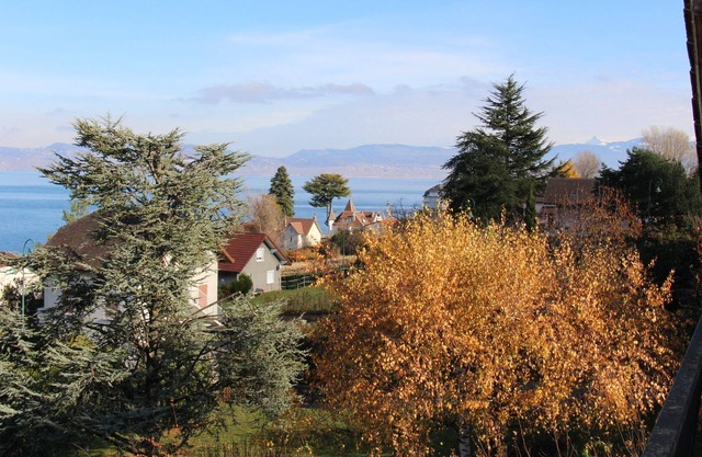 Evian-les-Bains: ventaja de la Casa del Lago