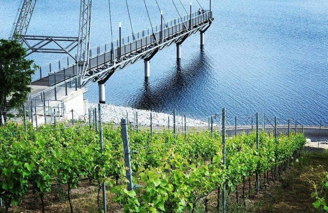 Exclusivo apartamento en el lago Großräschen con terraza