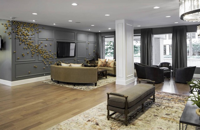 Exquisite Apt in Crystal City