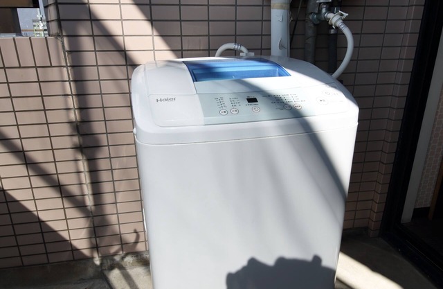 Exsaison Shirokita 809