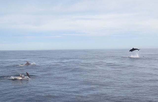 F3 orientado al sur en el corazón del complejo, junto al mar, estacionamiento privado