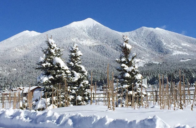 Reagruparse, relajarse y descansar en la base de Snowbowl
