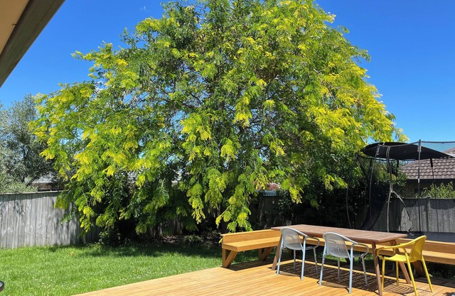 Family Retreat w/ Playground Views in East Tamaki