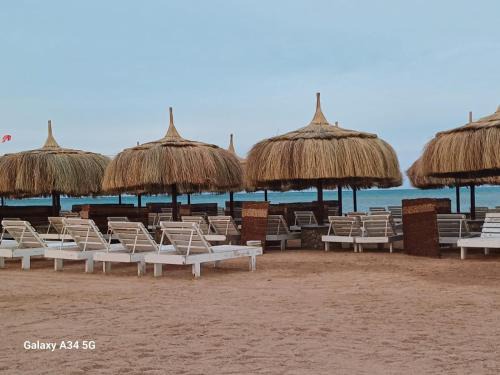 Fanadir Bay Resort - beach & Aquapark- Apartments Hotel
