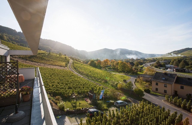 Mosel vista fantástica desde el apartamento "Pinot Noir Gabinete", Cochem