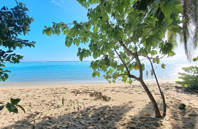TAHITI - FARE IOLANA