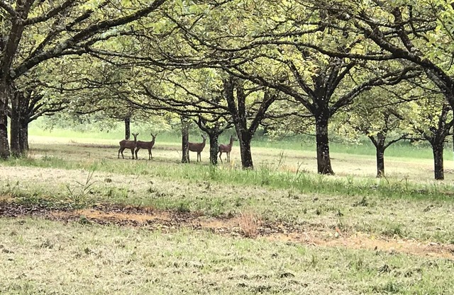 casa de campo en el corazón de la naturaleza, un verdadero remanso de paz