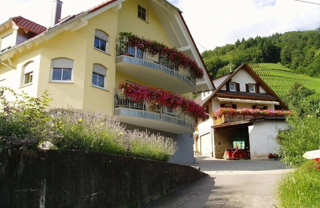 Ferienhof Mayer - Apartamento 4