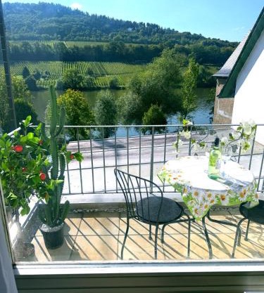 Ferienwohnung Moselblick Zell - Balkon und Gemeinschaftsterrasse