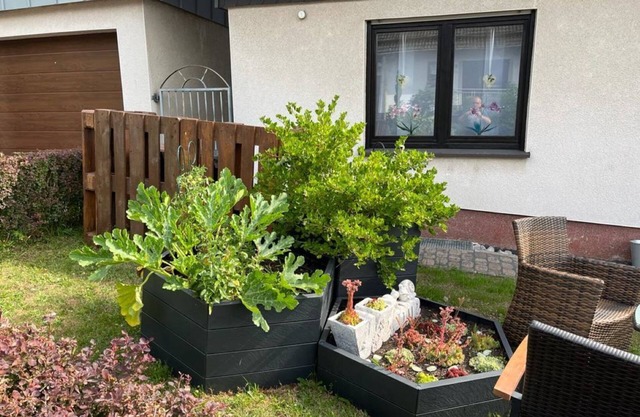 FeWoWe Apartment Wenden