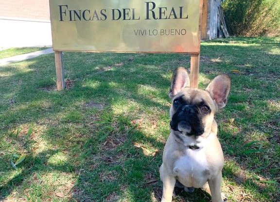 Fincas del Real