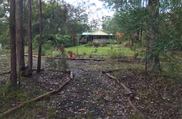 Fingal Farm, mascotas, Bulahdelah, Myall Lakes, playa