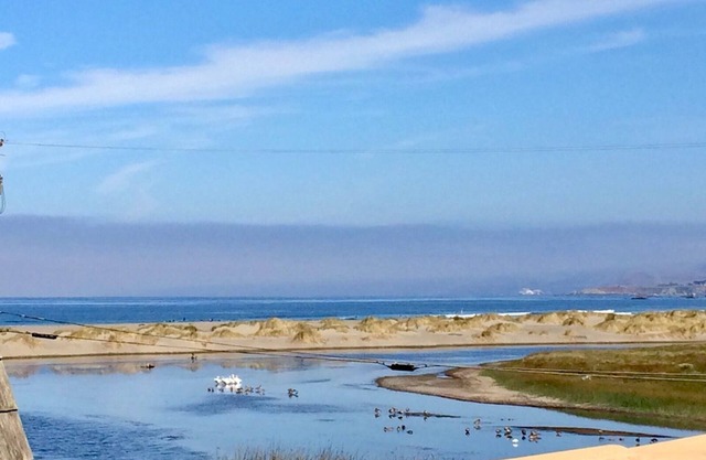 Fishermans Cottage-Irish Fishing Cottage in Bodega Bay! Magical!Walk to Beach