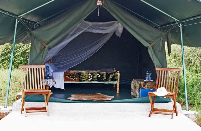 Fisi Camp