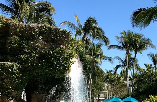 Florida Hyatt Coconut Cove resort 2 Bedroom