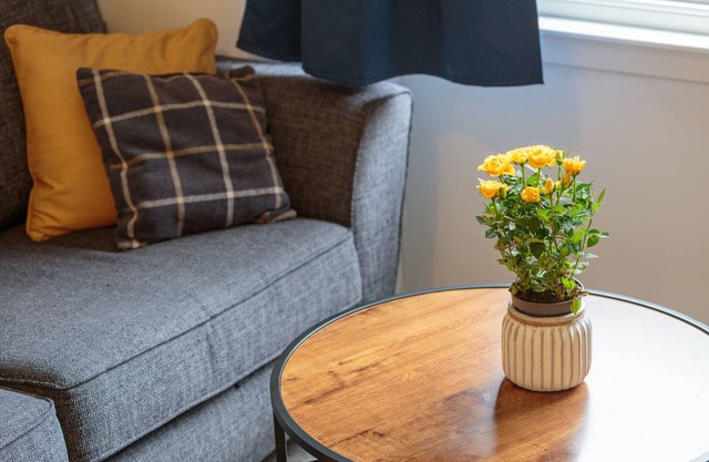 Fountain Park Apartment 1bed