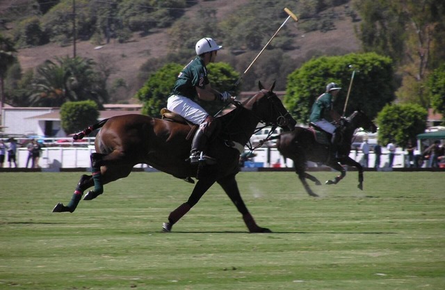 Asiento de primera fila en un campo de Clase Mundial de Polo!