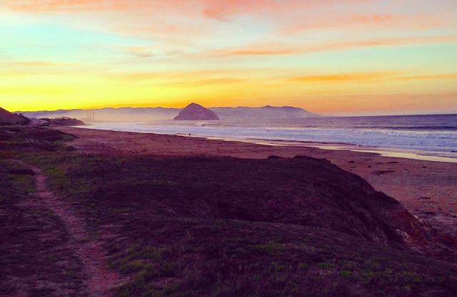 ¡VISTA COMPLETA AL OCÉANO! Remodelado! 3 minutos a la playa, WiFi, perros bienvenidos previa aprobación.