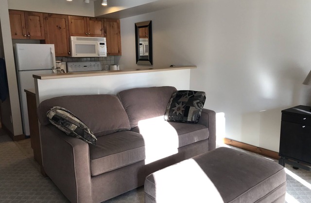 Fully Equipped Creekside Studio with Outdoor Shared Hot Tub and Pet Friendly!!