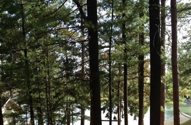 Cabaña totalmente remodelada en Waupaca Chain O 'Lakes - Lago Limekiln