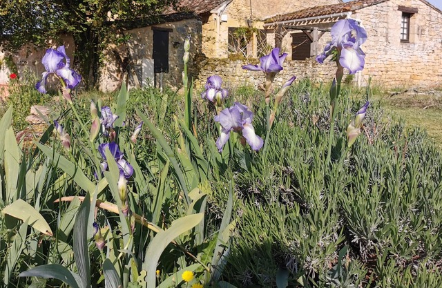 Gîte Champêtre Le Cantou