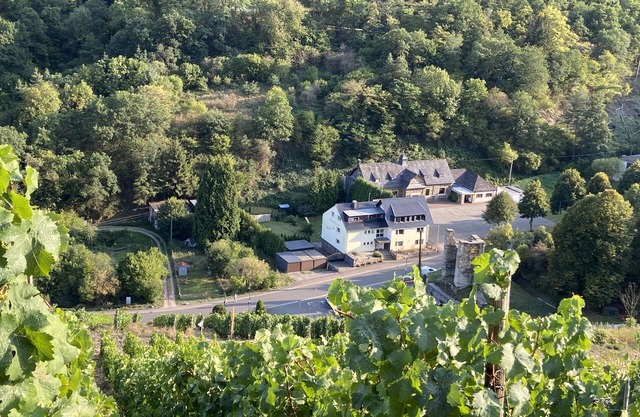 (g) Roosike vacaciones en Bacharach-Steeg, moderno apartamento en el campo