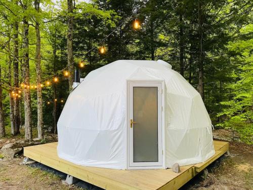 Geodome 1min to Smuggler's Notch with hot tub & River