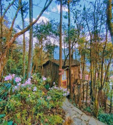 Gio Homestay & Bungalow Sapa