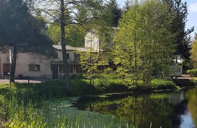 Casa rural y habitaciones de huéspedes en el Moulin de Charin-REGAIN