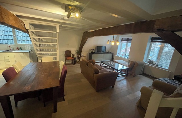 GOG E - Cosy Lofts Haarlem