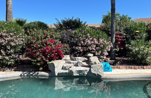 Gold Canyon AZ Desert Paradise, Heated Private Pool/Spa, Mt Views, Golf/Hiking