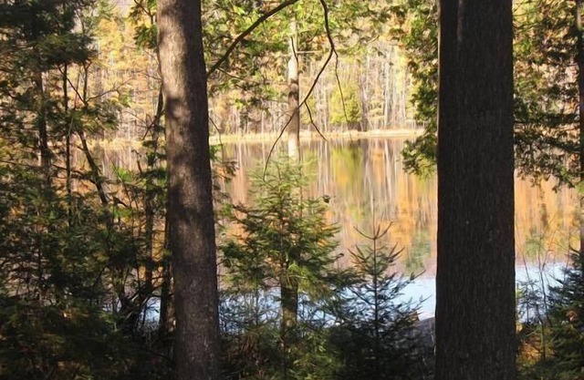 Hermosa escapada en la hermosa Northwoods con vista parcial al lago