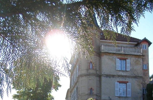 Gran Suite "Louise de Savoie" en el castillo (capacidad 4)