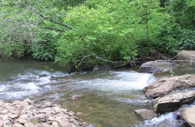 CABINA DEL RÍO HIAWASSEE UNIDAD A