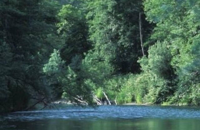 Great Trinity River Fishing en 3 Bed 2 Bath House, $ 200 / nt, se consideran mascotas