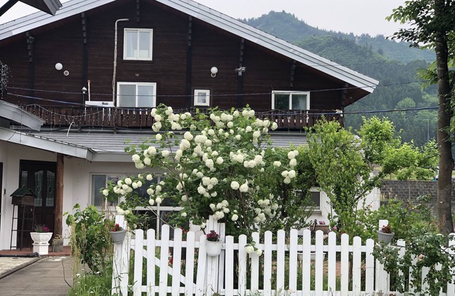 Guest House Vingt-neuf