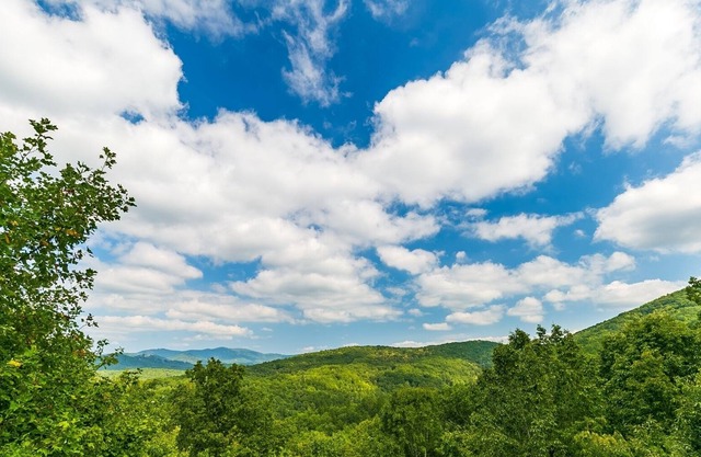Hawk`s Hideaway - Great Privacy, Amazing Views of Blue Ridge Mountains