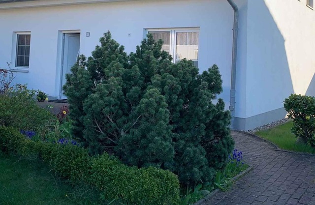 Apartamento vacacional con jardín, directamente en el territorio de Kranichrast