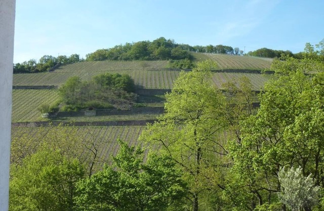 Apartamento de vacaciones Rüdesheim am Rhein para 1 - 2 personas con 1 dormitorio - Apartamento en c