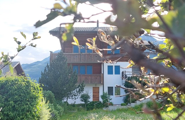 Apartamento de vacaciones Bellwald para 1 - 4 personas con 2 dormitorios - Apartamento