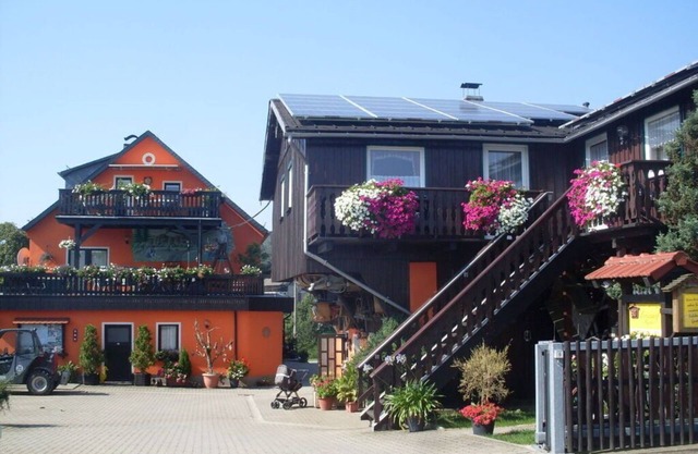 Holiday farm Richter Reinhardtsdorf