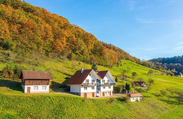 Alquiler-Confortable-Baño Privado-Vista al campo-Schwarzwaldidylle