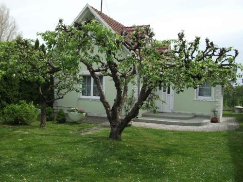 Holiday home Balatonlelle - Balaton 19117